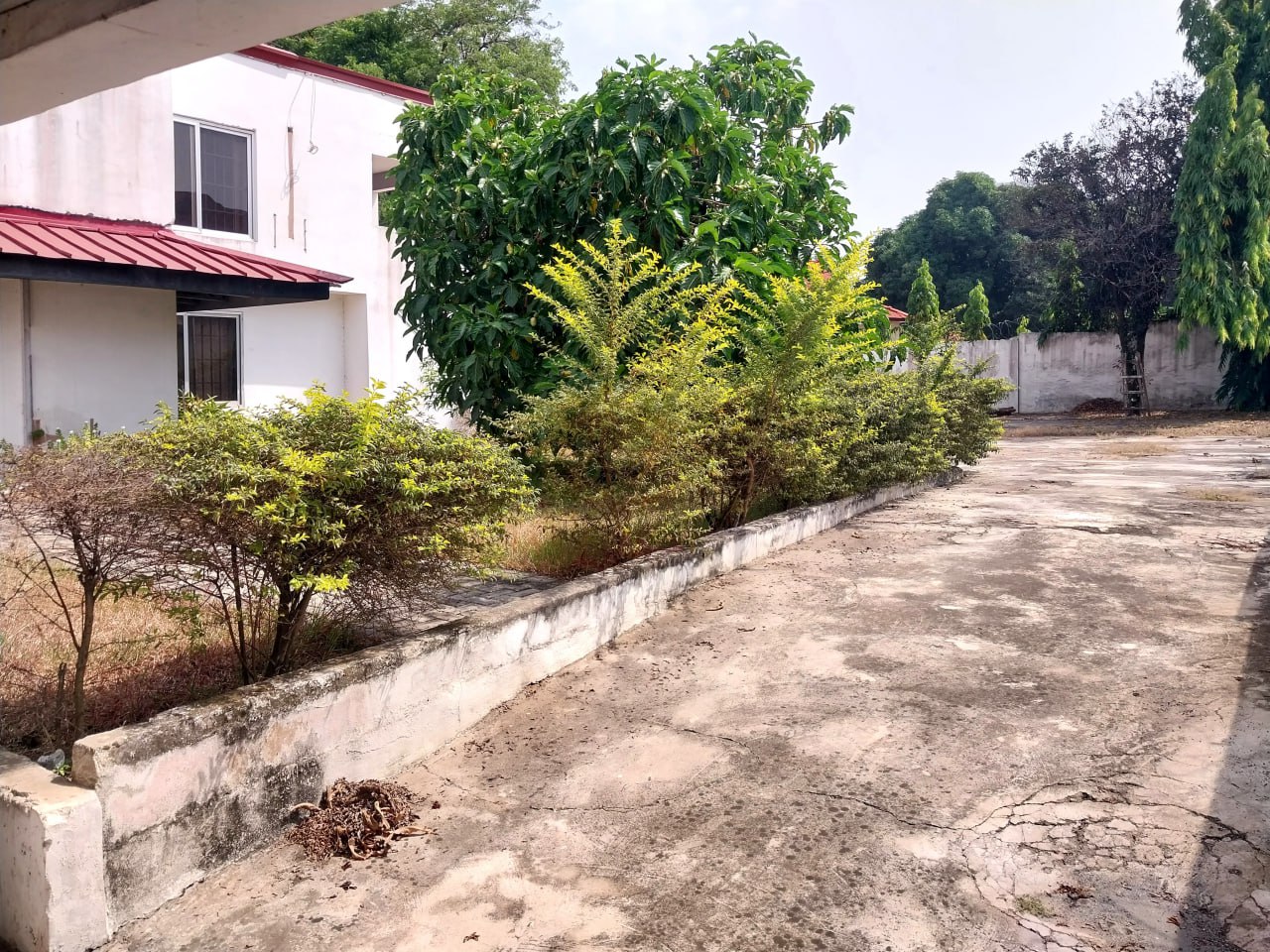 photo_2024-08-28_11-21-36